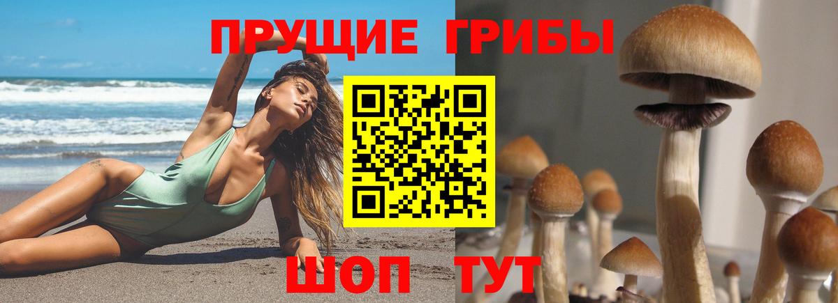 Псилоцибиновые грибы Psilocybine cubensis  Вход с VPN  Элиста  Псилоцибиновые грибы Cubensis 
