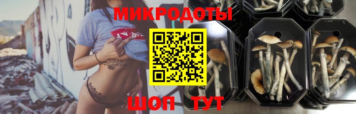 Псилоцибиновые грибы ЛСД Элиста